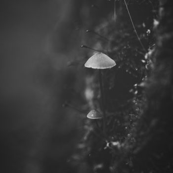 artwork for poster or album cover